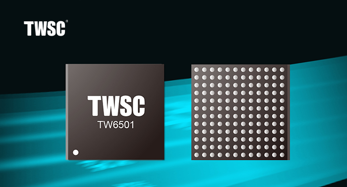 國內(nèi)首顆！支持ONFI 5.0 的TW6501 SATA SSD存儲芯片